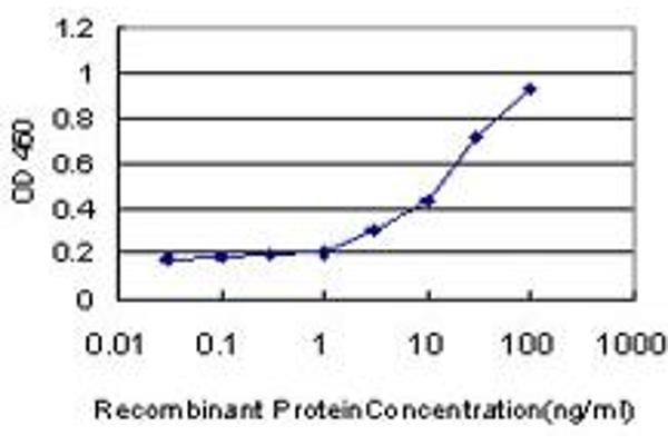 PIGL antibody  (AA 153-252)