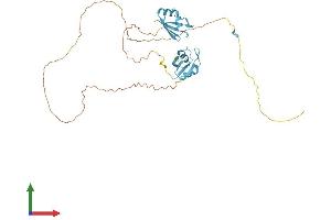 AlphaFold protein structure predicition of Mouse Recombinant Srsf6 Protein, UniprotID Q3TWW8