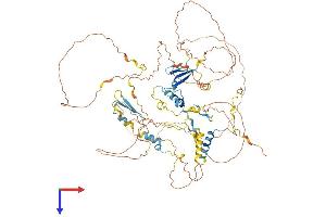AlphaFold protein structure predicition of Mouse Recombinant Tprn Protein, UniprotID A2AI08