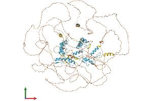 AlphaFold protein structure predicition of Human Recombinant SALL3 Protein, UniprotID Q9BXA9 (SALL3 Protein (AA 1-1300) (His tag))