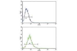 ATF6 antibody flow cytometric analysis of K562 cells (bottom histogram) compared to a negative control (top histogram). (ATF6 antibody  (AA 350-377))