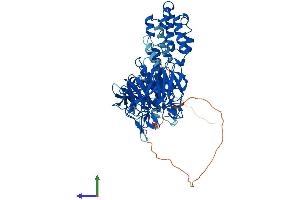 AlphaFold protein structure predicition of Human Recombinant KLHL14 Protein, UniprotID Q9P2G3 (KLHL14 Protein (AA 1-628) (His tag))