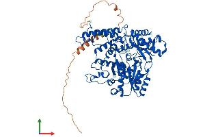 Protein Structure (PS) image for Glutamate Decarboxylase 1 (Brain, 67kDa) (GAD1) (AA 1-593) protein (His tag) (ABIN7563309)