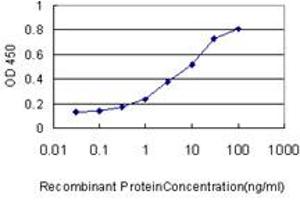 Detection limit for recombinant GST tagged SPRED2 is approximately 1ng/ml as a capture antibody. (SPRED2 antibody  (AA 120-219))