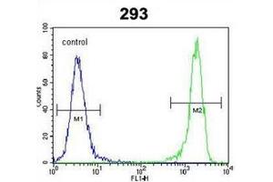Flow Cytometric analysis of 293 cells using DIT3 Antibody (C-term) Cat. (DDIT3 antibody  (C-Term))