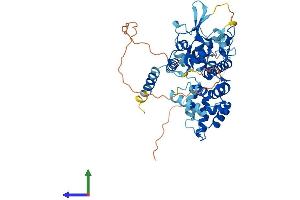 AlphaFold protein structure predicition of Human Recombinant MICU1 Protein, UniprotID Q9BPX6 (MICU1 Protein (AA 1-476) (His tag))