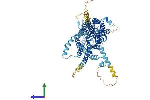 AlphaFold protein structure predicition of Human Recombinant SLC15A4 Protein, UniprotID Q8N697 (SLC15A4 Protein (AA 1-577) (His tag))