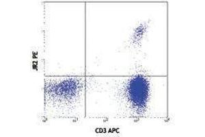 Flow Cytometry (FACS) image for anti-Vbeta 8 TCR antibody (PE) (ABIN2663919) (Vbeta 8 TCR antibody (PE))