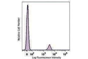 Flow Cytometry (FACS) image for anti-CD19 Molecule (CD19) antibody (PE) (ABIN2662496) (CD19 antibody  (PE))