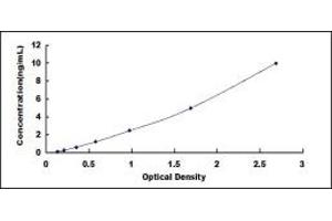 Typical standard curve (Ectodysplasin A2 Receptor ELISA Kit)
