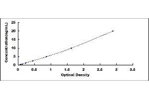 S100 Calcium Binding Protein A12 (S100A12) ELISA Kit