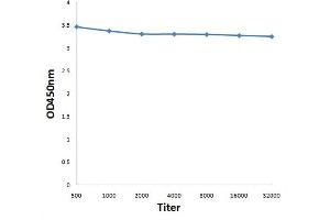 Antigen: 0. (Kallikrein 13 antibody  (AA 151-250))