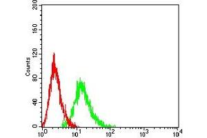 Flow cytometric analysis of HL-60 cells using CD49E mouse mAb (green) and negative control (red). (ITGA5 antibody  (AA 111-253))