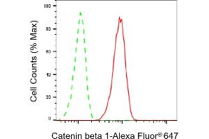 Flow cytometric analysis of catenin beta 1 expression in HT- cells using catenin beta 1 antibody (ABIN7797928), 1:2,000). (CTNNB1 antibody)