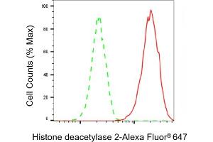 Flow cytometric analysis of Histone deacetylase 2 expression in HAP-1 cells using Histone deacetylase 2 antibody (ABIN7798931), 1:2,000). (Recombinant HDAC2 antibody)