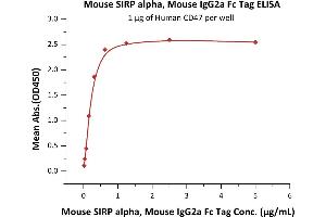 ELISA image for Signal-Regulatory Protein alpha (SIRPA) (AA 32-373) (Active) protein (Fc Tag) (ABIN6253632)