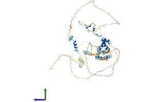 AlphaFold protein structure predicition of Mouse Recombinant Mier1 Protein, UniprotID Q5UAK0