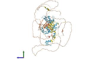 AlphaFold protein structure predicition of Human Recombinant ZBTB47 Protein, UniprotID Q9UFB7