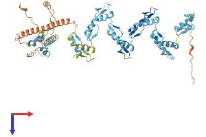 AlphaFold protein structure predicition of Human Recombinant ZNF680 Protein, UniprotID Q8NEM1