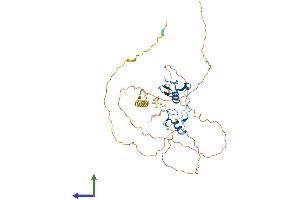 AlphaFold protein structure predicition of Mouse Recombinant Gata1 Protein, UniprotID P17679 (GATA1 Protein (AA 1-413) (His tag))