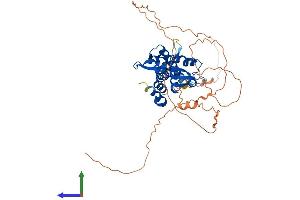 AlphaFold protein structure predicition of Human Recombinant MAGEA11 Protein, UniprotID P43364