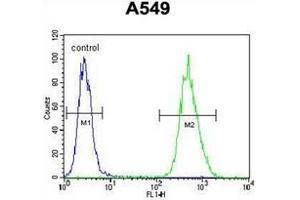 Flow cytometric analysis of A549 cells using BNIP3L / BNIP3A Antibody (Center) Cat. (BNIP3L/NIX antibody  (Middle Region))