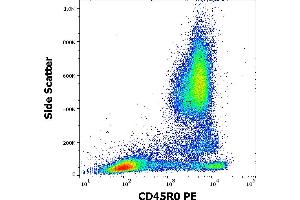 CCL20 antibody  (PE)