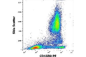 Flow cytometry surface staining pattern of human peripheral whole blood stained using anti-human CD45R0 (UCHL1) PE antibody (20 μL reagent / 100 μL of peripheral whole blood). (CCL20 antibody  (PE))