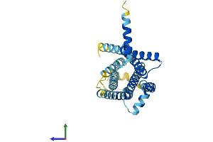 AlphaFold protein structure predicition of Mouse Recombinant Tas2r7 Protein, UniprotID P59530