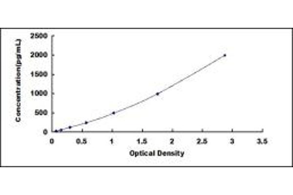 PTX3 ELISA Kit