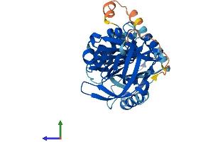 Protein Structure (PS) image for serpin Peptidase Inhibitor, Clade B (Ovalbumin), Member 13 (SERPINB13) (AA 1-391) protein (His tag) (ABIN7546302)