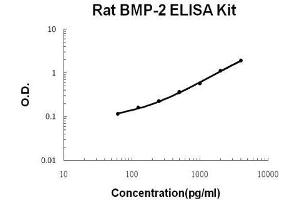 Rat BMP-2 PicoKine ELISA Kit standard curve (BMP2 ELISA Kit)