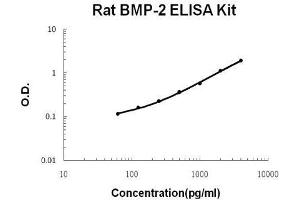 Rat BMP-2 PicoKine ELISA Kit standard curve