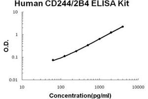 2B4 ELISA Kit