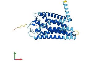 AlphaFold protein structure predicition of Human Recombinant OR4F21 Protein, UniprotID O95013 (OR4F21 Protein (AA 1-312) (His tag))