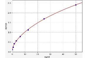 CPA3 ELISA Kit