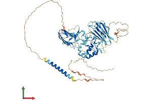 AlphaFold protein structure predicition of Mouse Recombinant Mfrp Protein, UniprotID Q8K480