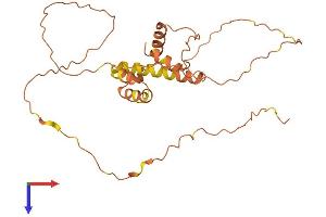 Family with Sequence Similarity 220, Member B, Pseudogene (FAM220BP) (AA 1-271) protein (His tag)