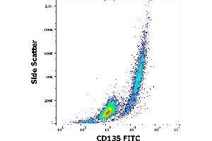 Flow cytometry surface staining pattern of REH cellular suspension stained using anti-human CD135 (BV10A4) FITC antibody (4 μL reagent per million cells in 100 μL of cell suspension). (FLT3 antibody  (FITC))