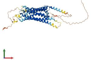 AlphaFold protein structure predicition of Human Recombinant GPR39 Protein, UniprotID O43194 (GPR39 Protein (AA 1-453) (His tag))