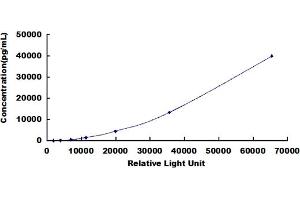 ELISA image for Lactotransferrin (LTF) CLIA Kit (ABIN492117)