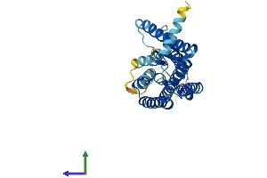 AlphaFold protein structure predicition of Human Recombinant OR5A1 Protein, UniprotID Q8NGJ0 (OR5A1 Protein (AA 1-315) (His tag))