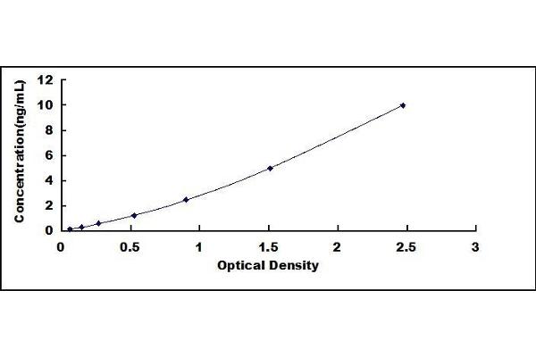 Caspase 7 ELISA Kit