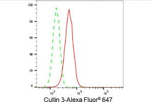 Flow cytometric analysis of Cullin 3 expression in HT- cells using Cullin 3 antibody (ABIN7798178), 1:2,000).