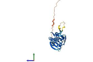 AlphaFold protein structure predicition of Human Recombinant KCNRG Protein, UniprotID Q8N5I3 (KCNRG Protein (AA 1-272) (His tag))
