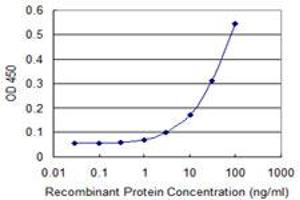 Detection limit for recombinant GST tagged TNIK is 1 ng/ml as a capture antibody. (TNIK antibody  (AA 1-110))
