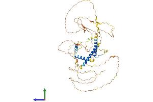 AlphaFold protein structure predicition of Human Recombinant SLAIN1 Protein, UniprotID Q8ND83 (SLAIN1 Protein (AA 1-568) (His tag))