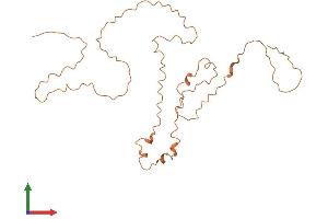 AlphaFold protein structure predicition of Human Recombinant KRTAP10-12 Protein, UniprotID P60413