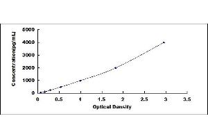 Typical standard curve (CSTA ELISA Kit)