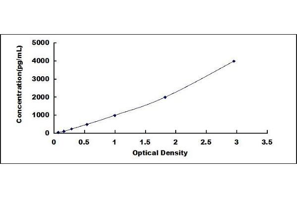 CSTA ELISA Kit